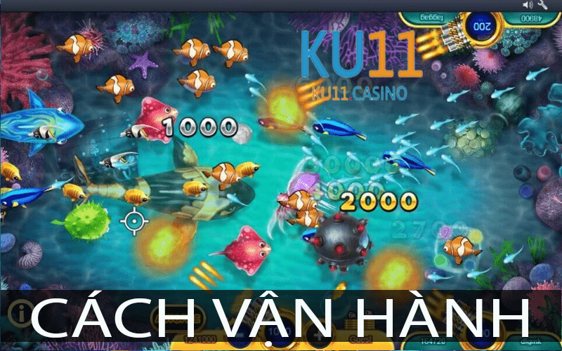 Game bắn cá - cách vận hành