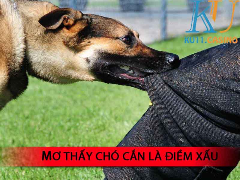 mơ thấy chó cắn